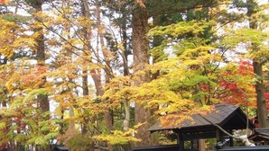 A covered outdoor seating area with a black roof, surrounded by a black fence, and trees with autumn foliage in the background. - Hotel Folkloro Kakunodate (Senboku)