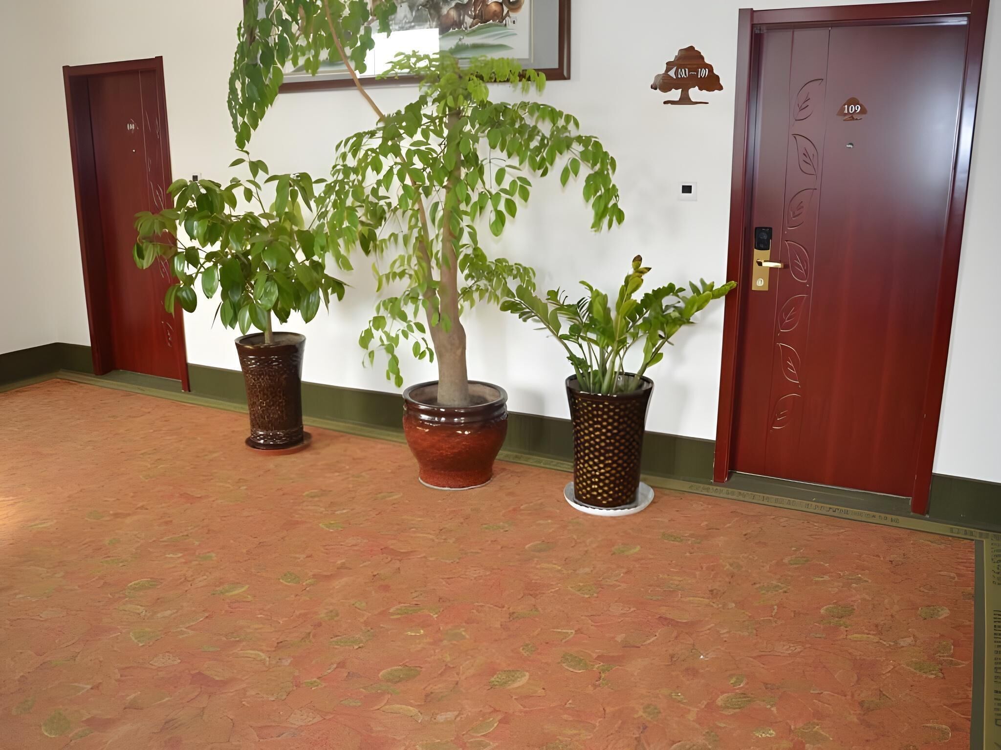 A hallway with three potted plants, two doors, and a wall-mounted plaque.