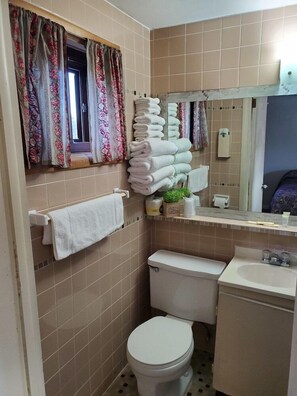 Bathroom - Gateway Motel (Hart)