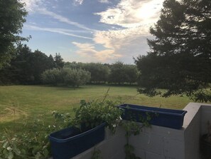 Property grounds - Gateway Motel (Hart)