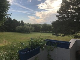 Un campo cubierto de césped con árboles al fondo y una maceta azul en una pared.