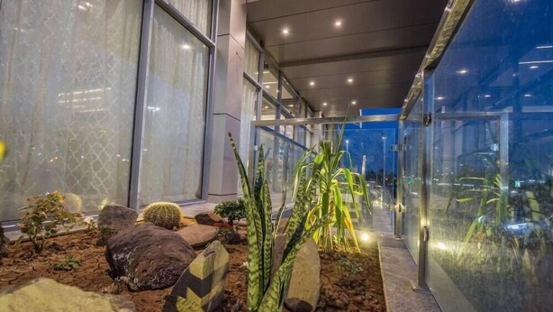 Un jardí interior modern amb diverses plantes i roques, finestres grans i una estructura de vidre.