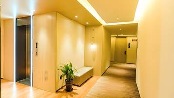 A modern hallway with a wooden floor, a bench, and a potted plant.