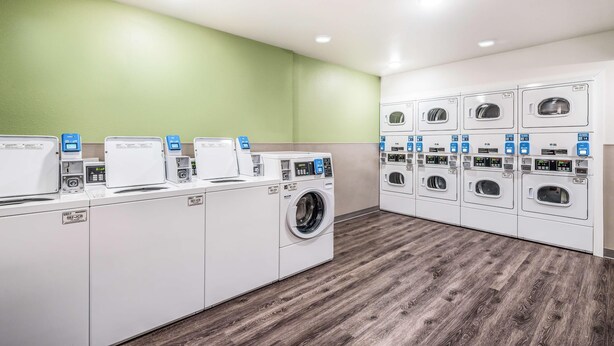 Un cuarto de lavandería con varias lavadoras y secadoras, una pared verde y piso de madera.