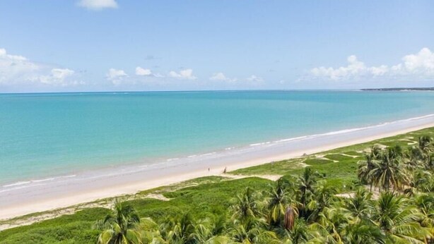 A beach with clear turquoise water, a sandy shore, and lush green vegetation. - Vila Gale Alagoas (Barra de Santo Antonio)