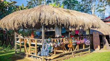 المنطقة المحيطة بالمنشأة