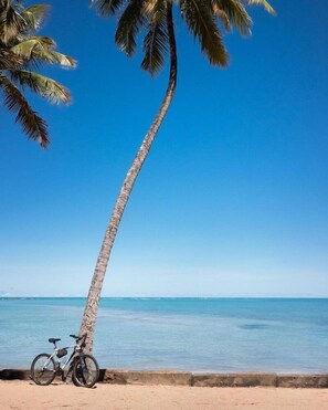 A beach scene with a bicycle leaning against a palm tree, a clear blue sky, and calm sea. - Hotel Ciribai Maceio (Maceió)
