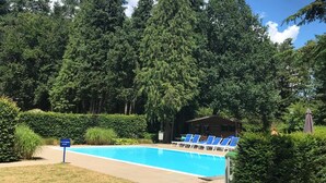Una piscina con sillas reclinables azules, rodeada de exuberante vegetación y árboles altos.