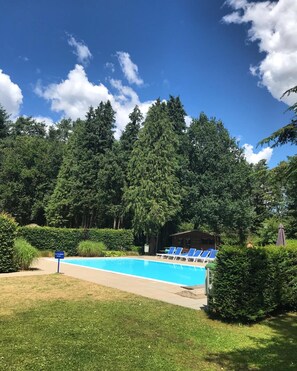 Una piscina con sillas reclinables azules, rodeada de exuberante vegetación y árboles altos.