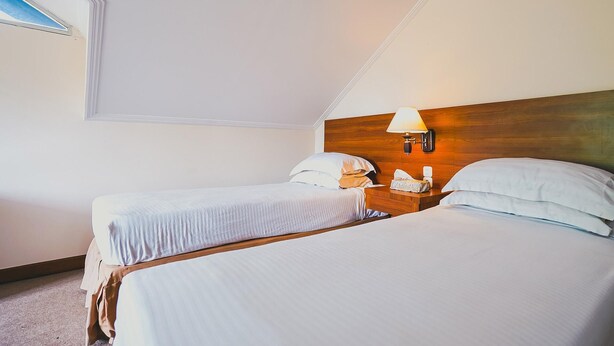 A hotel room with two beds, a wooden headboard, a bedside lamp, and a window with a view. - The Priangan Boutique Hotel (Ciamis)
