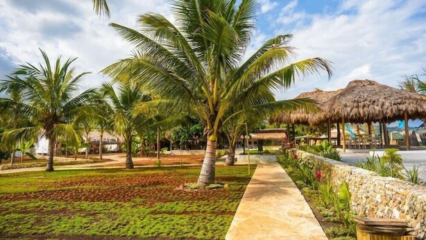 A tropical resort with palm trees, a thatched-roof structure, and a paved walkway.