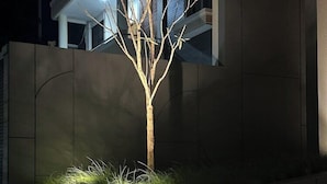 A modern building facade with a tree and a sign indicating an entrance. - Fulmar Pasteur (Bandung)
