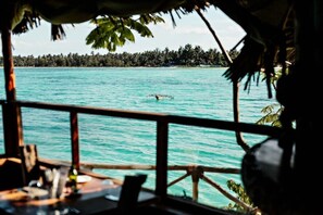 Property grounds - THE Island Pongwe Lodge (Pongwe)