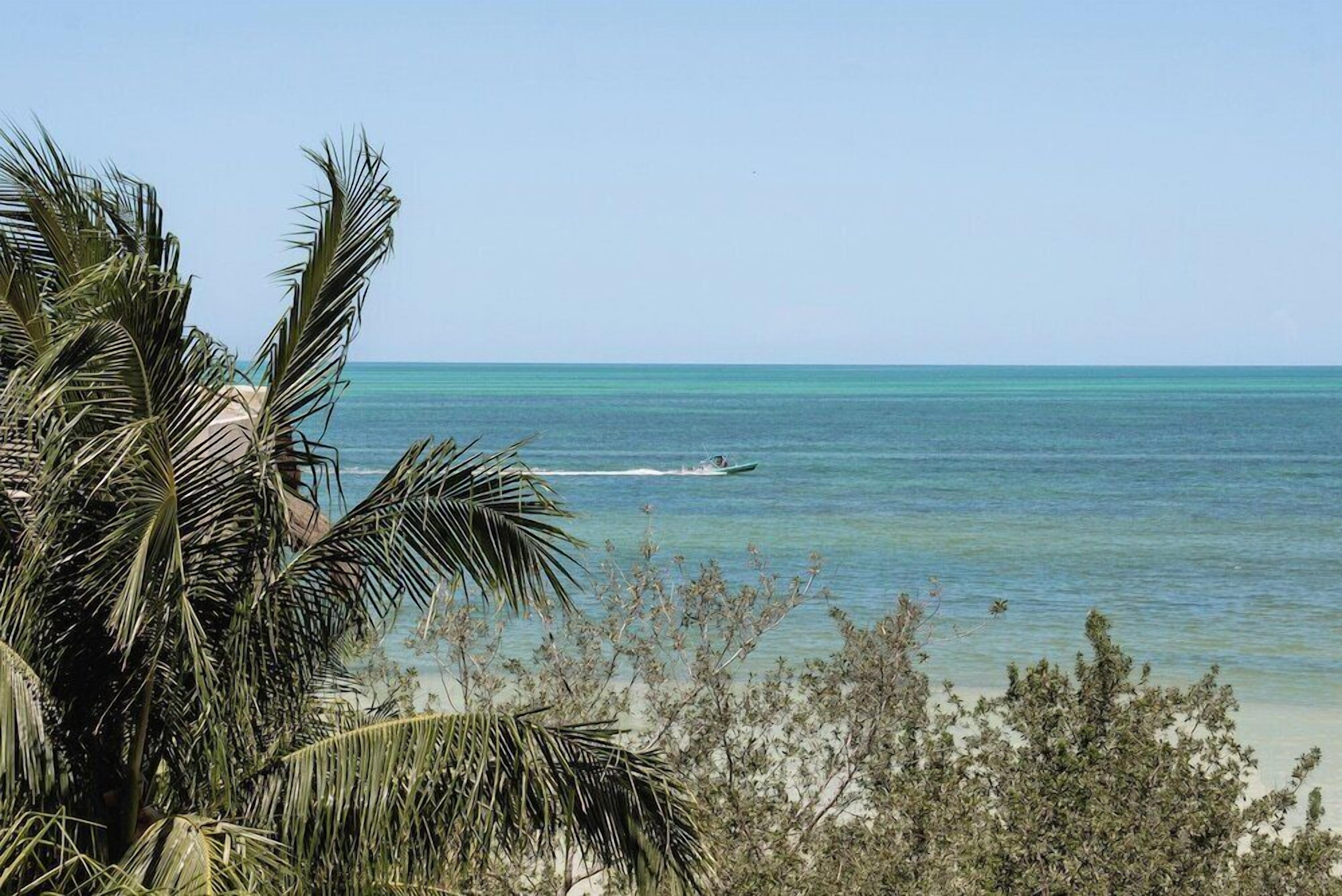 Playa