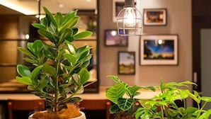 A room with a potted plant, a hanging light fixture, and framed pictures on the wall. - Super Hotel Okayama (Okayama)
