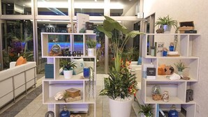 Un intérieur moderne avec des étagères blanches où sont exposés divers objets décoratifs et plantes.