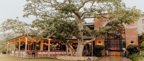 Área da propriedade