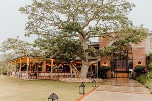 A large tree in front of a building with a covered outdoor seating area. - Barrington's (Plettenberg Bay)