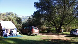 Un terrain de camping avec des tentes, une voiture et une table de pique-nique.