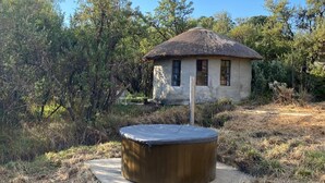Une petite maison rustique, dotée d’un toit de chaume, entourée d’herbes sèches et d’arbres.