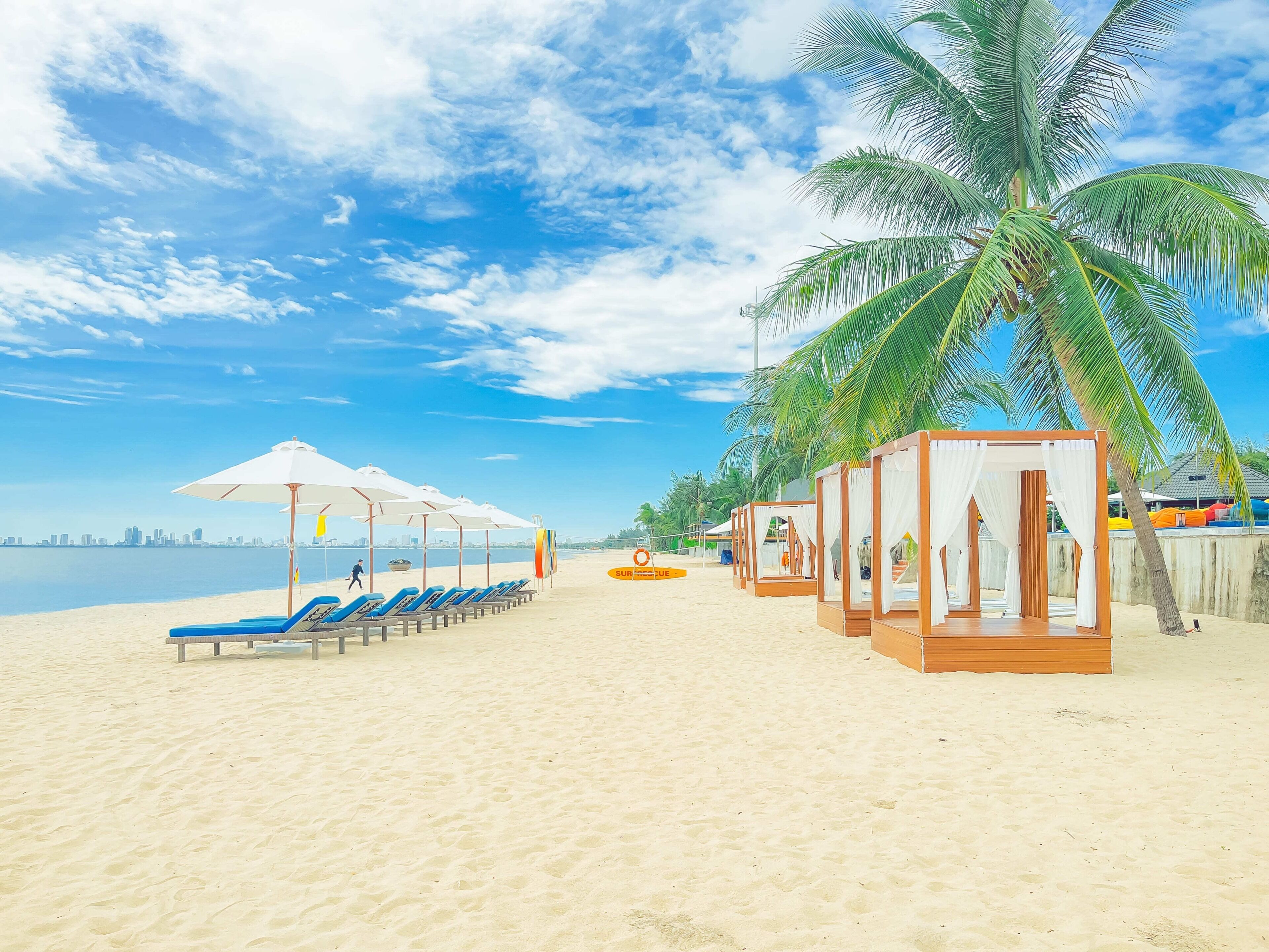 A beach with sun loungers, a palm tree, and a view of the city skyline.