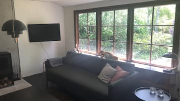 Televisio, takka