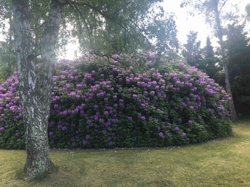 Holiday home swimmingpool and beach