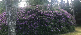 Holiday home swimmingpool and beach