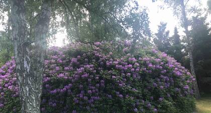 Holiday home swimmingpool and beach