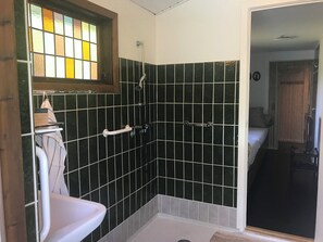 Shower, hair dryer