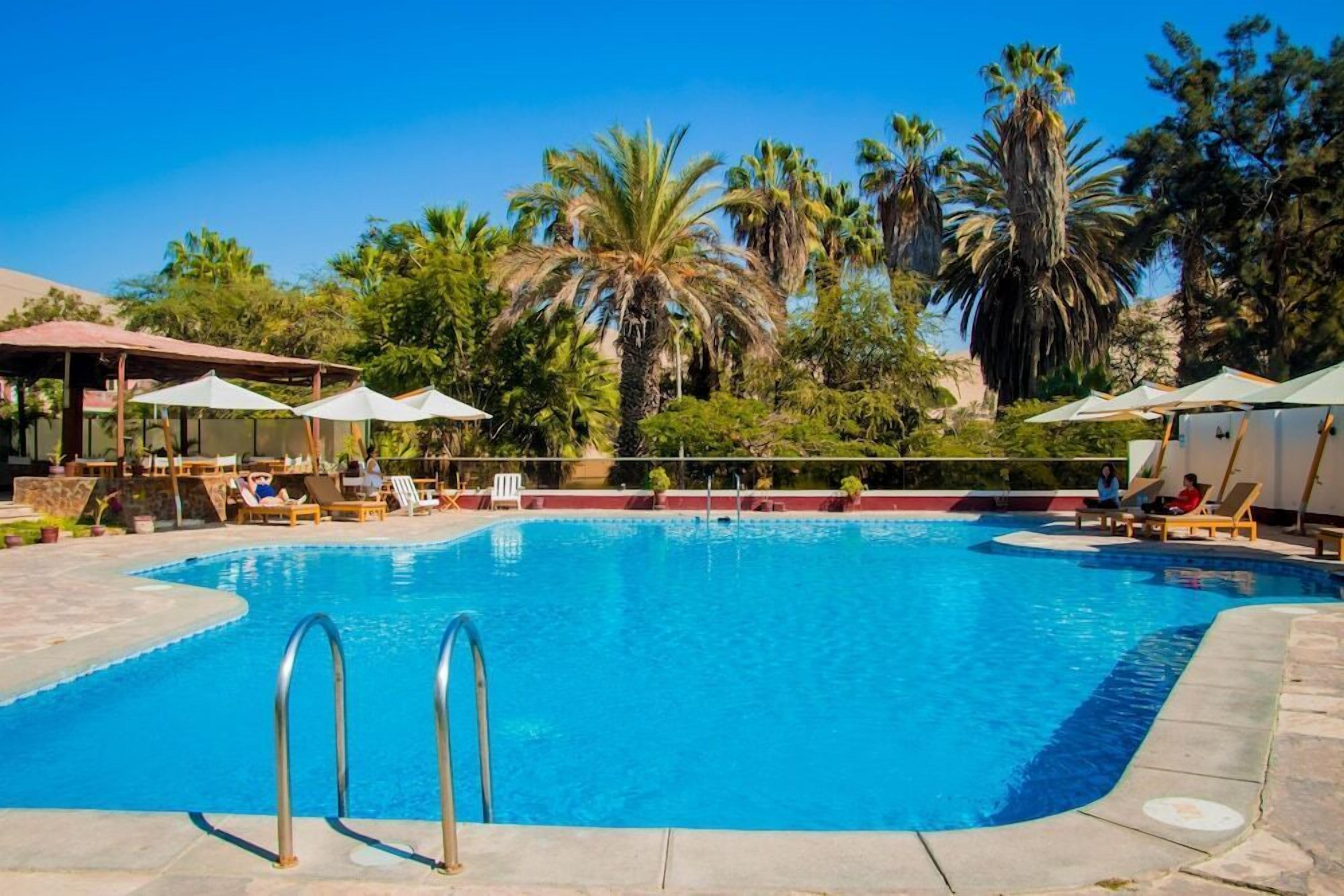 A swimming pool with lounge chairs and umbrellas, surrounded by palm trees and greenery.