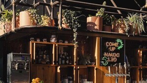 A bar area with wooden chairs, a bar counter, and various potted plants.