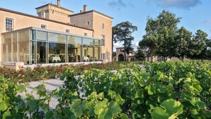 A building with a glass extension, a vineyard in the foreground, and a traditional building in the background. - Chateau Lafaurie-peyraguey by Lalique (Bommes)