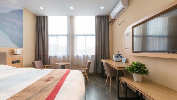 A hotel room with a bed, a desk, a chair, a TV, and a plant. - Thank (Shanghai)