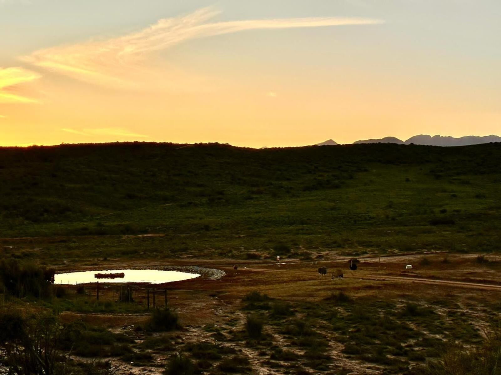 A rural landscape with a pond, a dirt road, and distant mountains.