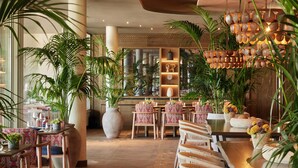 Un espace intérieur spacieux, aménagé avec des meubles en bois, de grandes plantes en pot et un mur décoratif doté d’étagères.