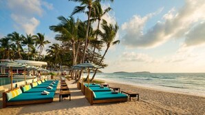 A beachside hotel with lounge chairs and umbrellas, palm trees, and a view of the ocean. - Avani Chaweng Samui Hotel and Beach Club (Koh Samui)