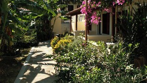 A garden pathway leading to a building with a pergola covered in pink flowers. - Athena Beach (Samos)