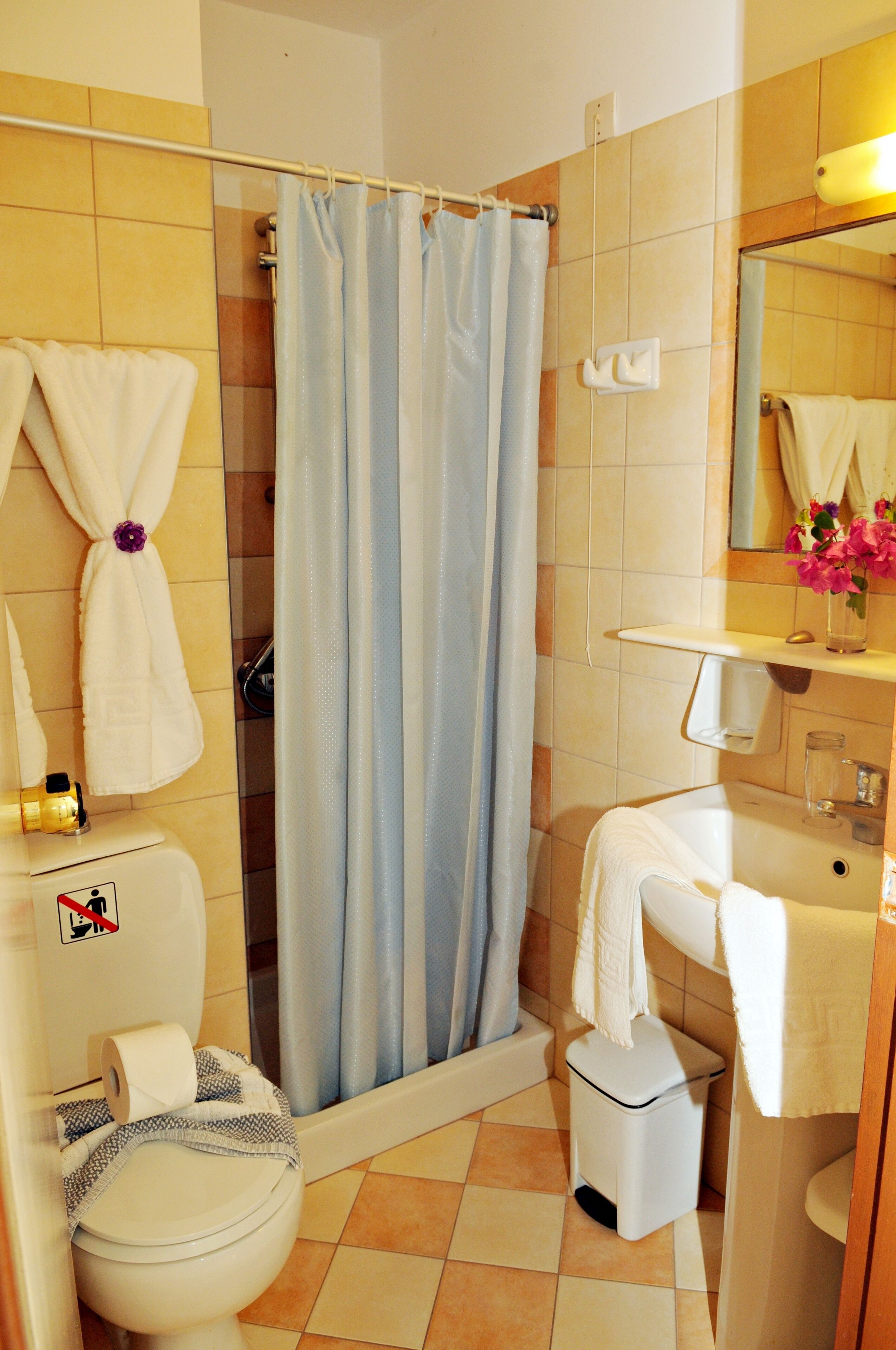 Une salle de bain avec douche, toilettes et lavabo.