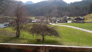 A rural village with houses, a tree, and a fenced field. - Vacation apartment 60 sqm, 2-4 persons, 2 bedrooms, eat-in kitchen, 2 bathrooms (Unterwössen)