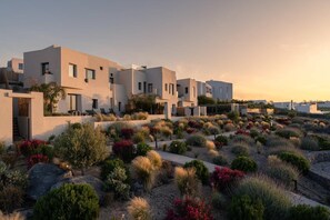 Ein modernes Wohngebiet mit zeitgenössischer Architektur, bestehend aus einer Reihe miteinander verbundener Häuser mit Balkonen und einem angelegten Garten mit verschiedenen Sträuchern und Pflanzen.