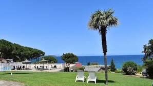 Ein Poolbereich mit Liegestühlen, einer Palme und Blick aufs Meer.