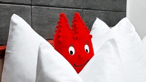 A red object with a face peeking out from behind white pillows. - Hotel Ludwig Superior (Cologne)