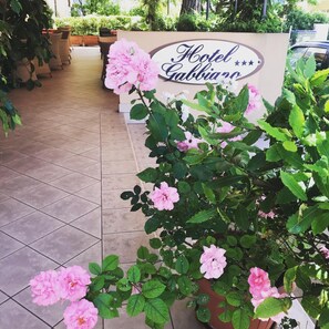 Exterior detail - Hotel Gabbiano (Riccione)