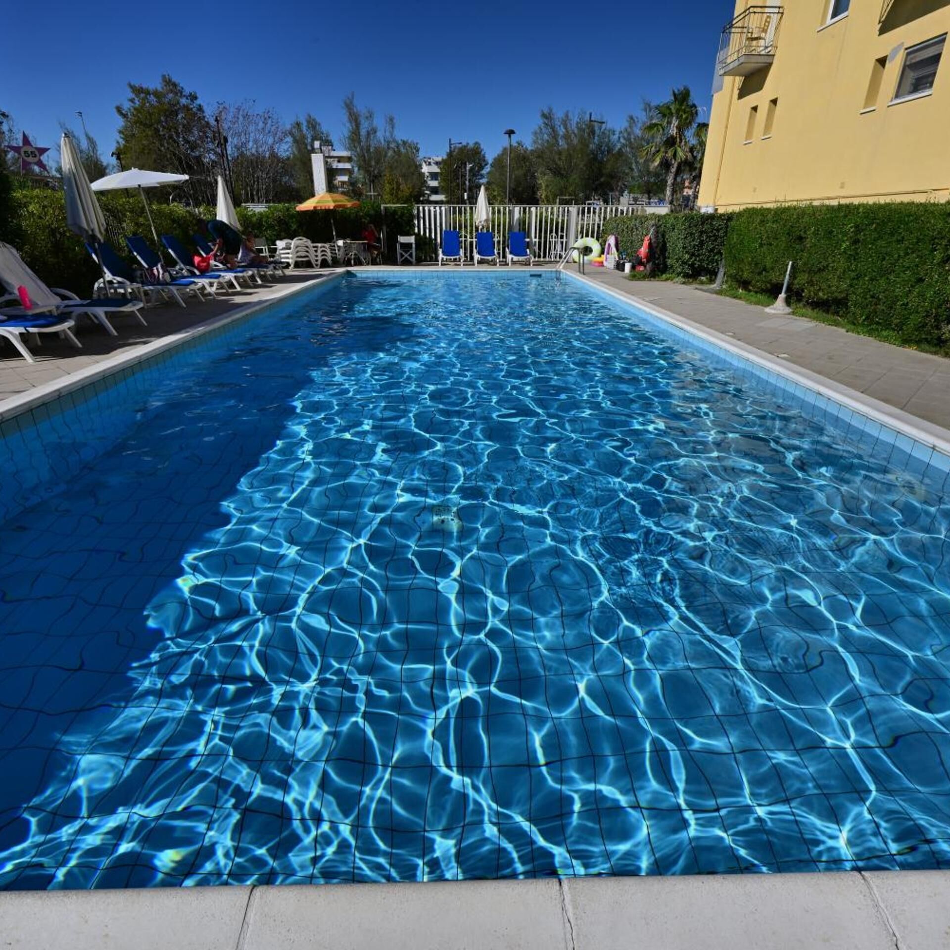 A rectangular swimming pool with clear blue water, surrounded by lounge chairs and umbrellas, with buildings and trees in the background.