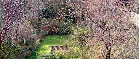 Un jardín con un banco, rodeado de árboles y arbustos.