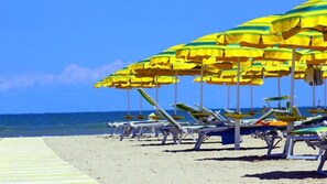 Playa