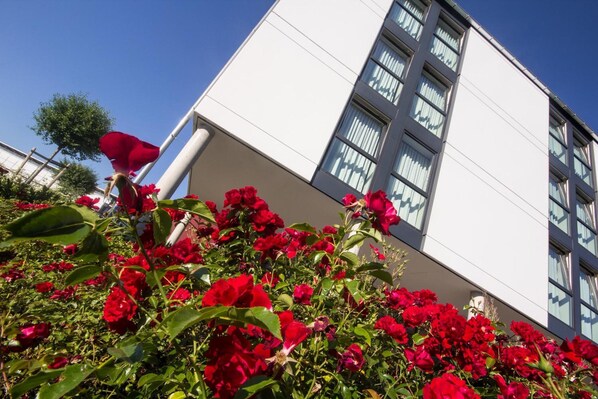 المنطقة المحيطة بالمنشأة