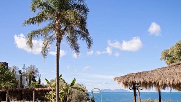 A clear blue sky, a swimming pool with a geometric pattern, a palm tree, and a thatched-roof structure. - Maritim Marina Bay Resort & Casino (Vlorë)