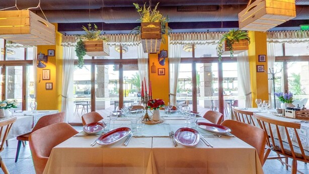 Ein Restaurant mit gedeckten Tischen, großen Fenstern und hängenden Pflanzen.